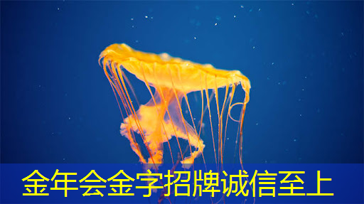 金年会:科技神器,美好互联!无WiFi手机同屏引领智慧生活 金年会:科技神器,美好互联!无WiFi手机同屏引领智慧生活