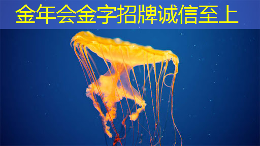 金年会:如何在音视频多媒体中运用3D效果? 金年会:如何在音视频多媒体中运用3D效果?