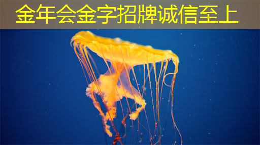 金年会:商显智慧屏:重塑传统零售的未来 金年会:商显智慧屏:重塑传统零售的未来