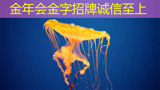 商显智慧屏:实现零售业态的高度个性化 商显智慧屏:实现零售业态的高度个性化