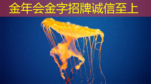 金年会:连接更快、操作更简单!无线手机同屏重新定义科技体验 金年会:连接更快、操作更简单!无线手机同屏重新定义科技体验