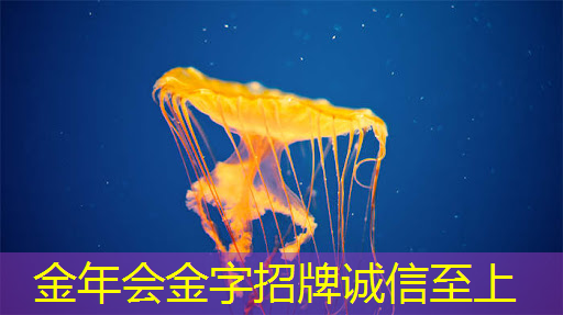 金年会:新一代商业展示:商显智慧屏评测领先发布 金年会:新一代商业展示:商显智慧屏评测领先发布