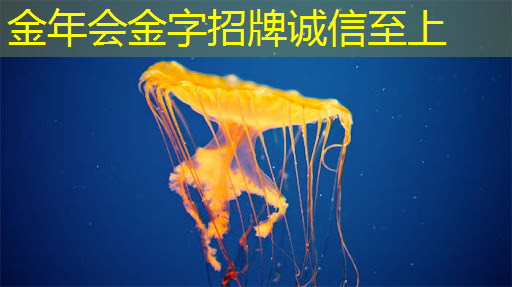 金年会:智能化的物流装备包括 金年会:智能化的物流装备包括