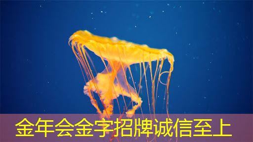 我是智慧城市领航者 我是智慧城市领航者