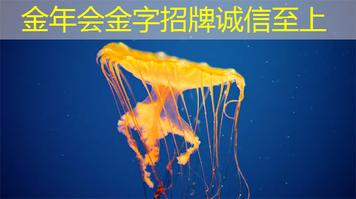 金年会:武汉做智慧城市怎么样知乎 金年会:武汉做智慧城市怎么样知乎