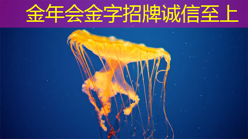 金年会:商显智慧屏:打破传统广告形式,吸引更多顾客 金年会:商显智慧屏:打破传统广告形式,吸引更多顾客