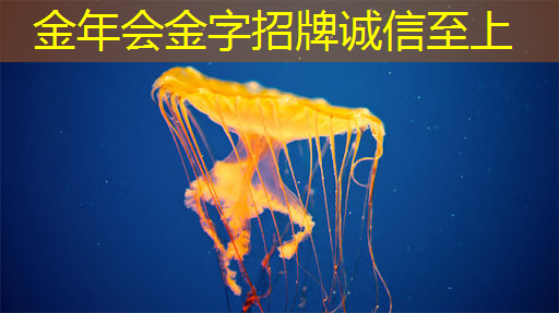 金年会:科技赋能商业展示,智慧商显释放巨大潜能 金年会:科技赋能商业展示,智慧商显释放巨大潜能