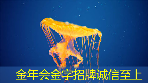 互联网思维赋能商业展示:智慧商显的未来趋势 互联网思维赋能商业展示:智慧商显的未来趋势
