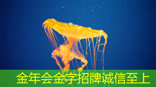 金年会:电子视频贺卡对青少年情感发展的影响分析 金年会:电子视频贺卡对青少年情感发展的影响分析