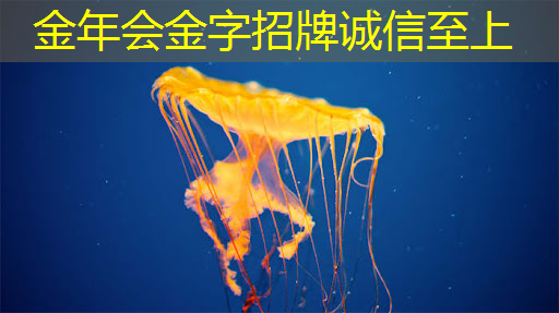 金年会:随时随地实现分享!无线投屏器让你投屏同屏两不误 金年会:随时随地实现分享!无线投屏器让你投屏同屏两不误