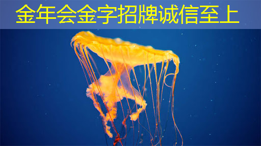 金年会:让不同屏幕同时播放相同内容,投屏与同屏带给你多重惊喜! 金年会:让不同屏幕同时播放相同内容,投屏与同屏带给你多重惊喜!