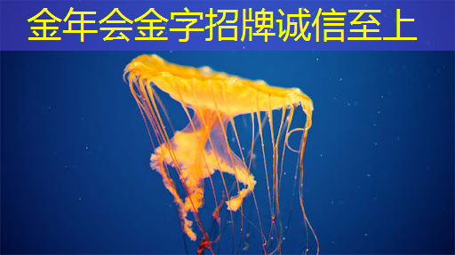 金年会:湃方科技CEO武通达:高能效边缘AI芯片在工业AIoT中的应用实践|公开课预告 金年会:湃方科技CEO武通达:高能效边缘AI芯片在工业AIoT中的应用实践|公开课预告