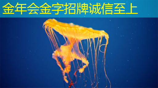 金年会:华为首款AI芯片麒麟970可每分钟处理2000张照片,是三星S8的20多倍 金年会:华为首款AI芯片麒麟970可每分钟处理2000张照片,是三星S8的20多倍
