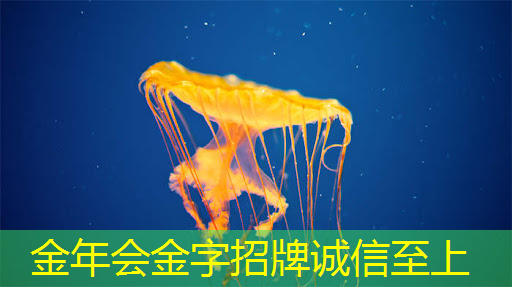 金年会:华为订购1600片AI芯片:智能时代的核心竞争力 金年会:华为订购1600片AI芯片:智能时代的核心竞争力
