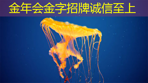 金年会:芯片科普 金年会:芯片科普