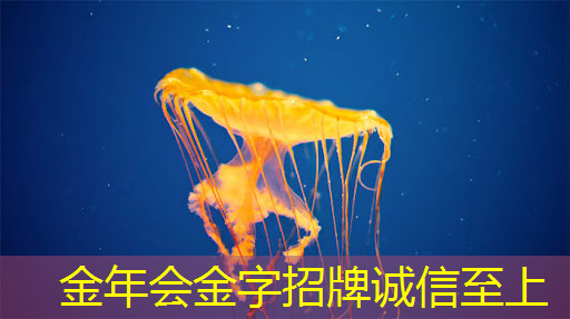 金年会:中年程序员求职难,可以转行不吃青春饭的芯片设计吗? 金年会:中年程序员求职难,可以转行不吃青春饭的芯片设计吗?