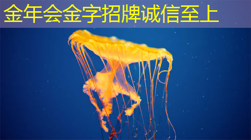 金年会:AI, GPU和芯片的未来 金年会:AI, GPU和芯片的未来