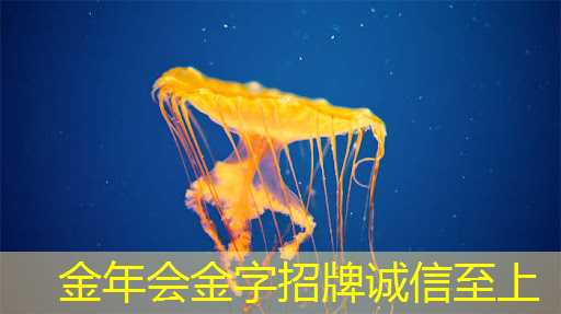 AI芯片ASIC领域深度解析!A股市场博通级潜力股大揭秘! AI芯片ASIC领域深度解析!A股市场博通级潜力股大揭秘!