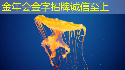 金年会:热门课题 | 牛津大学:探究人工智能 AI 芯片的发展过程 金年会:热门课题 | 牛津大学:探究人工智能 AI 芯片的发展过程