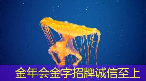 金年会：“未来科技新篇章：谷歌量子芯片5分钟实现惊人计算”