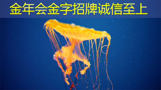 金年会:新年芯事 | 龙芯物联网主控芯片龙芯1C102和龙芯1C103流片成功 金年会:新年芯事 | 龙芯物联网主控芯片龙芯1C102和龙芯1C103流片成功