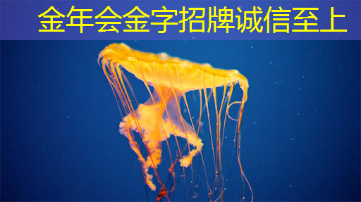 金年会:超同态加密算法及计算芯片系列之“量子计算” 金年会:超同态加密算法及计算芯片系列之“量子计算”