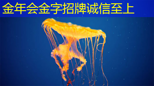 金年会:38页研究报告|显示驱动芯片的进击,面板产业链最后一块拼图 金年会:38页研究报告|显示驱动芯片的进击,面板产业链最后一块拼图