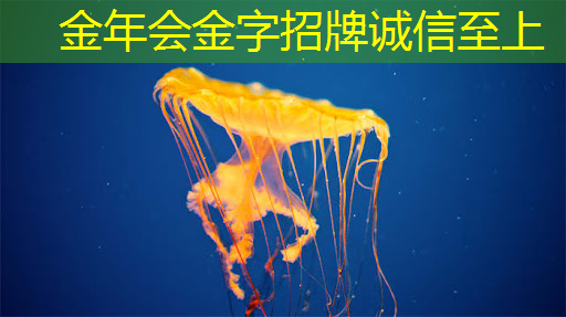 金年会:【寒假】沉浸式芯片科技探索体验营——思无域 行无疆 玩科技 驭未来 金年会:【寒假】沉浸式芯片科技探索体验营——思无域 行无疆 玩科技 驭未来