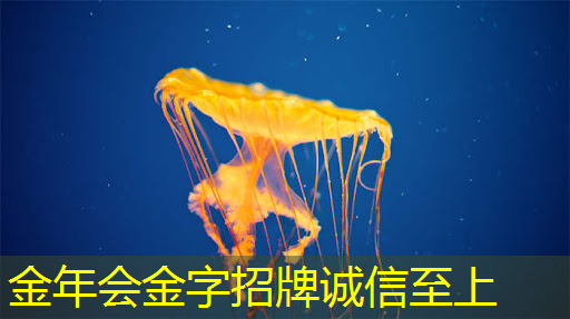 金年会:NDA非破坏性分析:芯片制造的隐形守护者 金年会:NDA非破坏性分析:芯片制造的隐形守护者