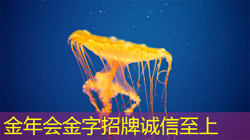 金年会:突破!中国科学家用人工智能设计出首颗芯片,拜登要睡不着觉了 金年会:突破!中国科学家用人工智能设计出首颗芯片,拜登要睡不着觉了