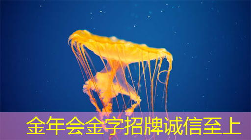 金年会:猎头顾问如何选择行业?芯片设计?智能驾驶?储能?医疗?制造业?金融?电源&电力电子?嵌入式C/C++领域?互联网?机器人? 金年会:猎头顾问如何选择行业?芯片设计?智能驾驶?储能?医疗?制造业?金融?电源&电力电子?嵌入式C/C++领域?互联网?机器人?