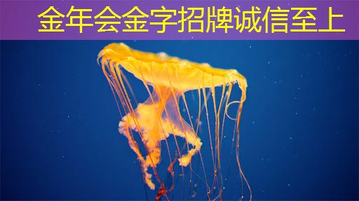 金年会:拜登再宣布一笔半导体补贴:用数字孪生加速芯片设计和生产 金年会:拜登再宣布一笔半导体补贴:用数字孪生加速芯片设计和生产