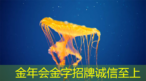 【毫米波传感器】采用单芯片毫米波传感器实现前沿的智能自主 【毫米波传感器】采用单芯片毫米波传感器实现前沿的智能自主