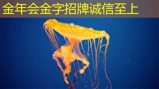 金年会:NDA非破坏性分析:芯片制造的隐形守护者 金年会:NDA非破坏性分析:芯片制造的隐形守护者