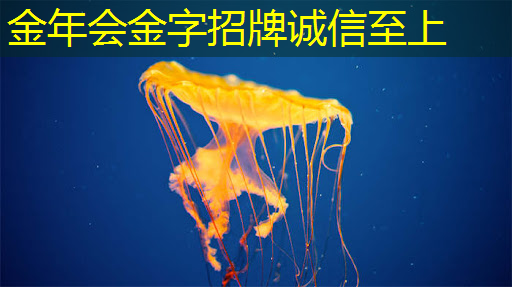 金年会：中国存储芯片王者，华为战略控股，未来超越北方华创