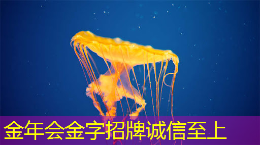金年会：地平线高级研发总监凌坤：好的自动驾驶AI芯片更是“好用”的芯片｜直播预告