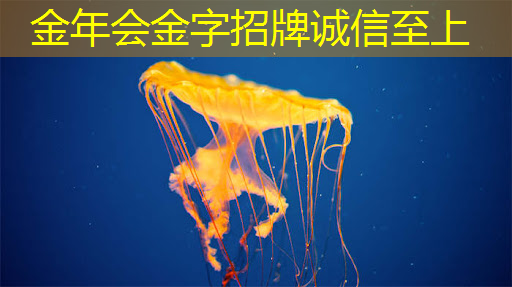 金年会:WAIC2021|使能智慧交通,黑芝麻智能核心芯片推动汽车产业“智”变升级 金年会:WAIC2021|使能智慧交通,黑芝麻智能核心芯片推动汽车产业“智”变升级