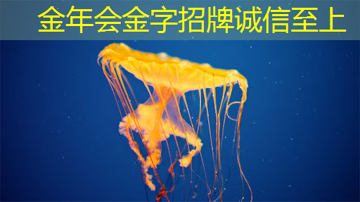金年会:存储芯片中的寒武纪,牛散葛卫东重仓1872万股,1009家机构集体抱团 金年会:存储芯片中的寒武纪,牛散葛卫东重仓1872万股,1009家机构集体抱团