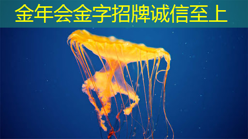 金年会:支持五大主流语音助手的智能音频平台,可降低功耗 65% 的蓝牙芯片,高通吃定了语音市场?| CES 2018 金年会:支持五大主流语音助手的智能音频平台,可降低功耗 65% 的蓝牙芯片,高通吃定了语音市场?| CES 2018