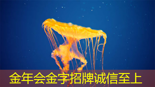 金年会:半导体芯片,5家优质企业 金年会:半导体芯片,5家优质企业