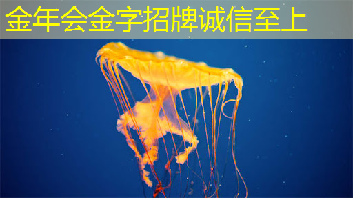 曝芯片巨头高通撤离上海,赔偿 N+7 曝芯片巨头高通撤离上海,赔偿 N+7