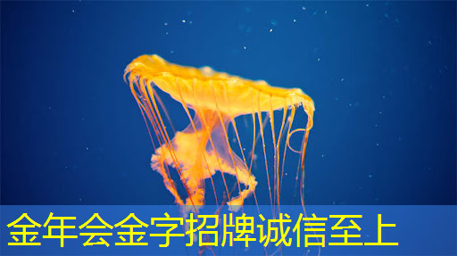 金年会:AI芯片ASIC领域深度解析!A股市场博通级潜力股大揭秘! 金年会:AI芯片ASIC领域深度解析!A股市场博通级潜力股大揭秘!