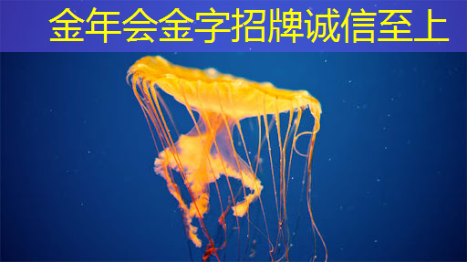 金年会:技术水平远超华为海思+高通,A股唯一芯片国产替代龙头,下一个大涨1000%的寒武纪 金年会:技术水平远超华为海思+高通,A股唯一芯片国产替代龙头,下一个大涨1000%的寒武纪