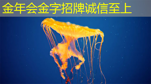 金年会:@芯片研发人员,Zeku的专利技术都在这里了 金年会:@芯片研发人员,Zeku的专利技术都在这里了