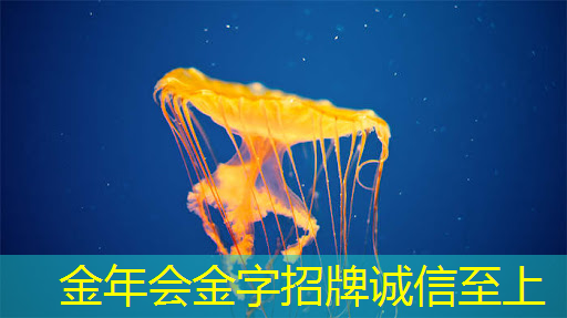 金年会:全球首颗!中国移动联合华为等,突破芯片新技术,GSE DPU芯片发布 金年会:全球首颗!中国移动联合华为等,突破芯片新技术,GSE DPU芯片发布