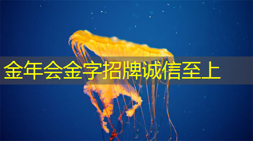 本周IT资讯速递 | 英伟达在AI芯片市场的主导地位,多模态领域技术突破,特斯拉全自动驾驶(FSD)软件的推广 本周IT资讯速递 | 英伟达在AI芯片市场的主导地位,多模态领域技术突破,特斯拉全自动驾驶(FSD)软件的推广
