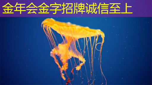 玩出更多乐趣:智慧投影互动软件打造全新娱乐体验! 玩出更多乐趣:智慧投影互动软件打造全新娱乐体验!