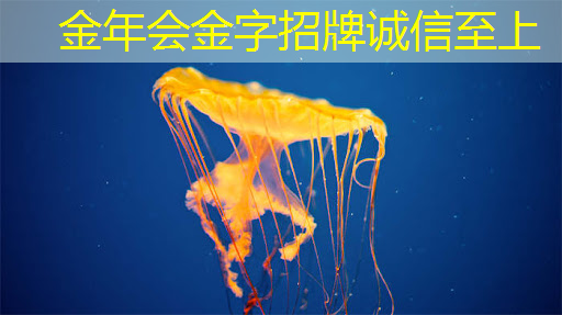 数拓智慧商显：投资商显，开启新的盈利模式