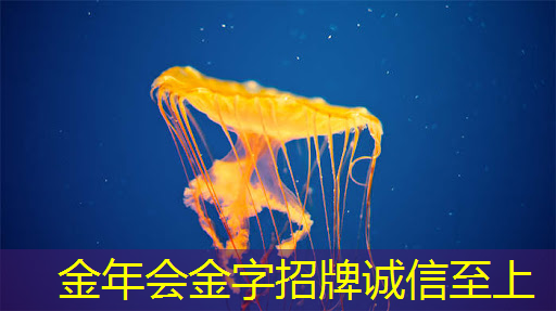 如何在音视频多媒体中运用3D效果？