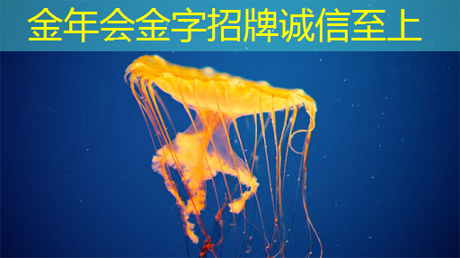 商显智慧屏：重塑传统零售的未来